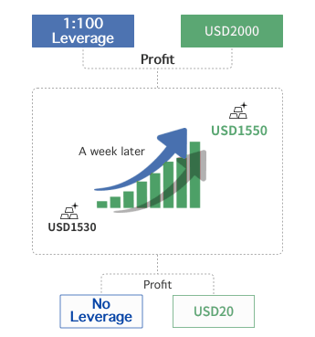 A picture demonstrating how will leverage affect your profit or loss during trading