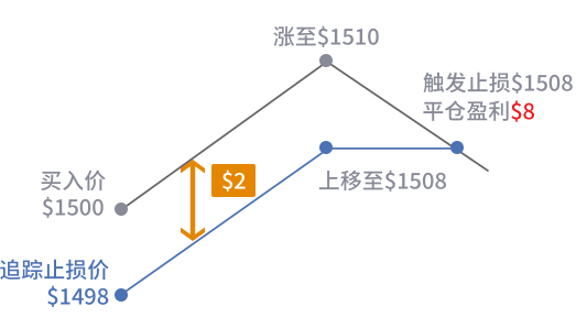 一张显示追踪亏损如何运作的图片。