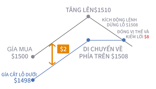 Một bức ảnh cho thấy cách thức hoạt động của lệnh theo dõi lỗ.
